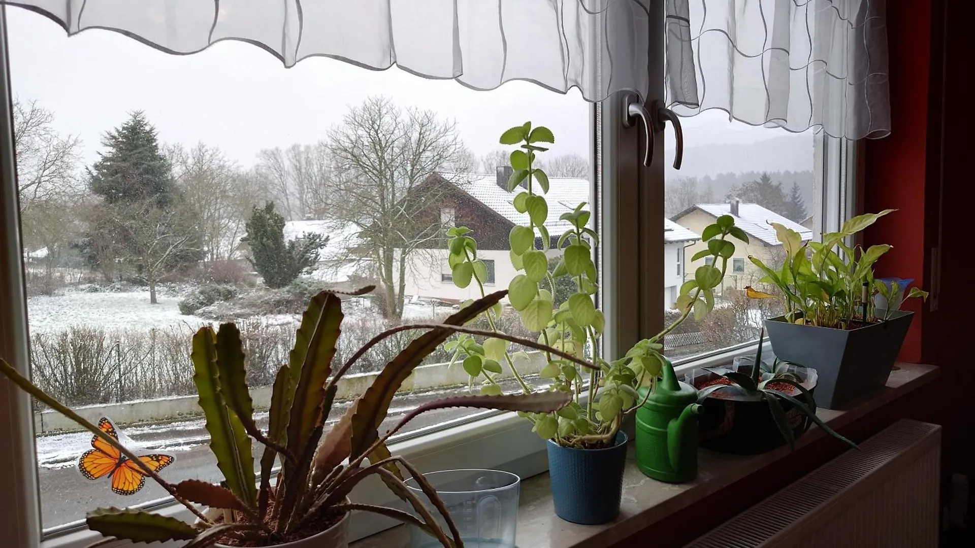 Ferienwohnung Rackl Furth im Wald 0*,  Deutschland
